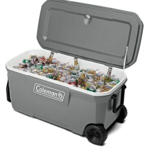 Coleman 316 Series Cooler RCK/W/RCK C1