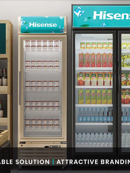 Hisense Commercial Standing Cooler 12cf